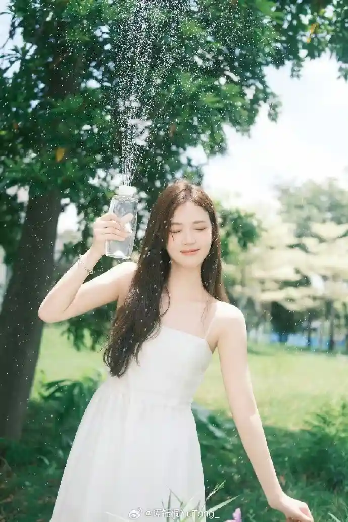 影视下载数据对比